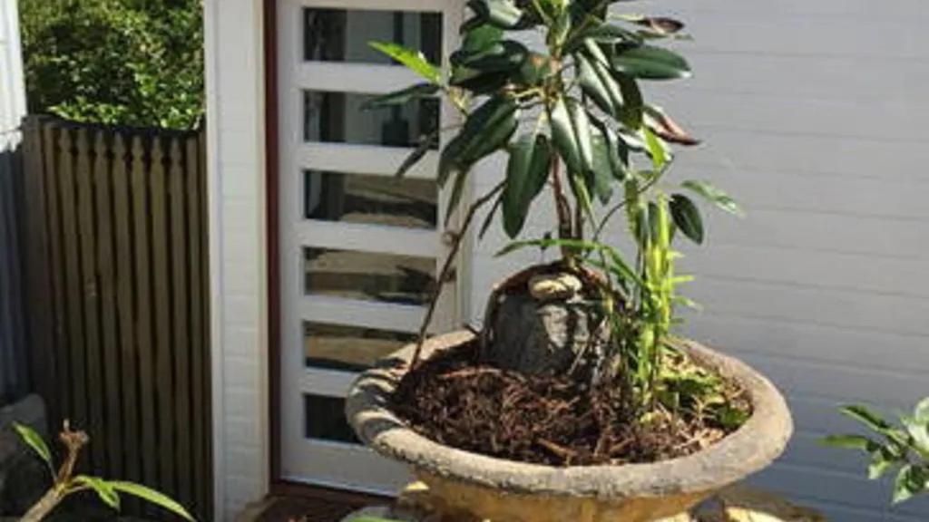Potters Cottage Bellingen Exterior foto