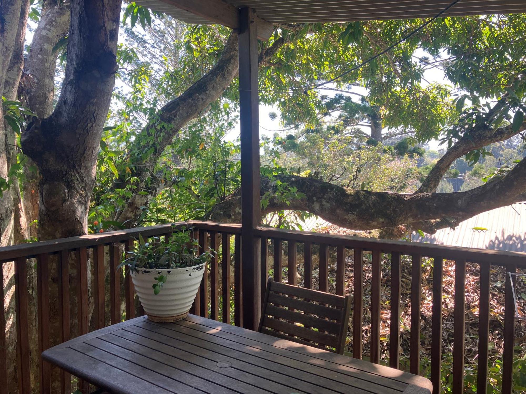 Potters Cottage Bellingen Exterior foto